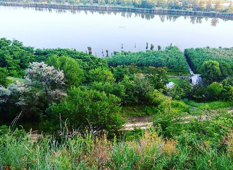 Придніпровське (озеро Джулайка), Черкаська обл. — риболовля, фото 42