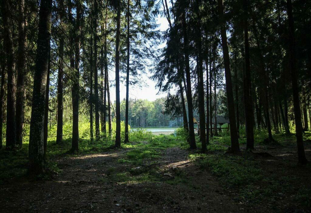 Озеро Світле (Іванівське), Волинська обл. — риболовля, фото 4