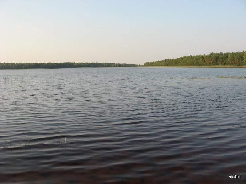 озеро Велике, село Острівськ, Рівненська обл. — риболовля, фото 3