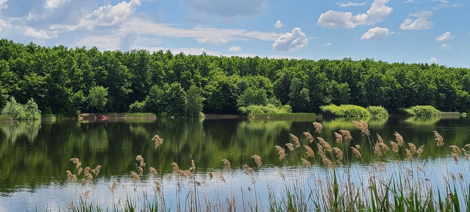 Озеро Великі береги, Закарпатська обл. — риболовля, фото 15