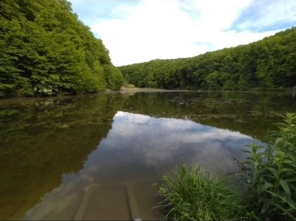 Жмеринка (Озеро Паркове), Вінницька обл. — риболовля, фото 3