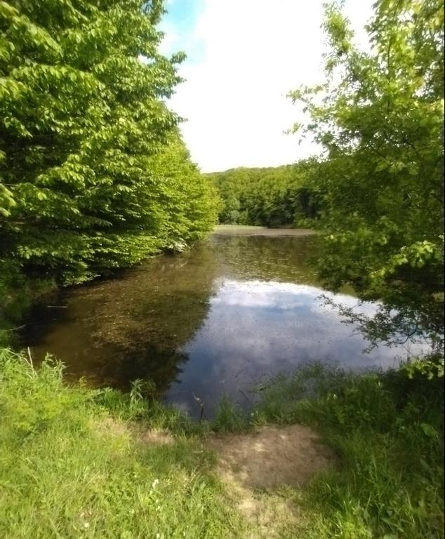 Жмеринка (Озеро Паркове), Вінницька обл. — риболовля, фото 4