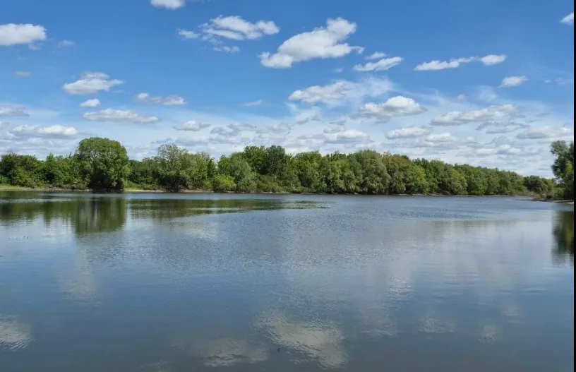 Озеро Parus lake, Тернопільська обл. — риболовля, фото 2