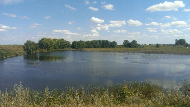 Перевередів