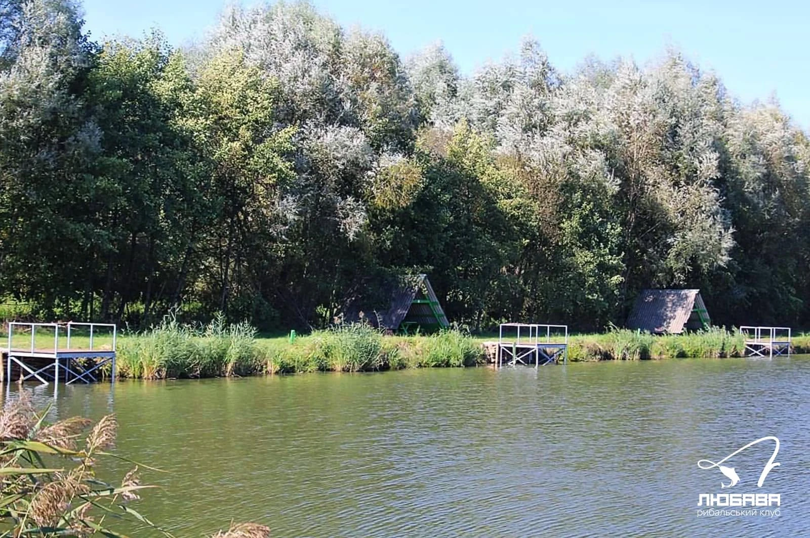 Озеро Підсадки (Рибацький клуб «Любава»), Львівська обл. — риболовля, фото 13