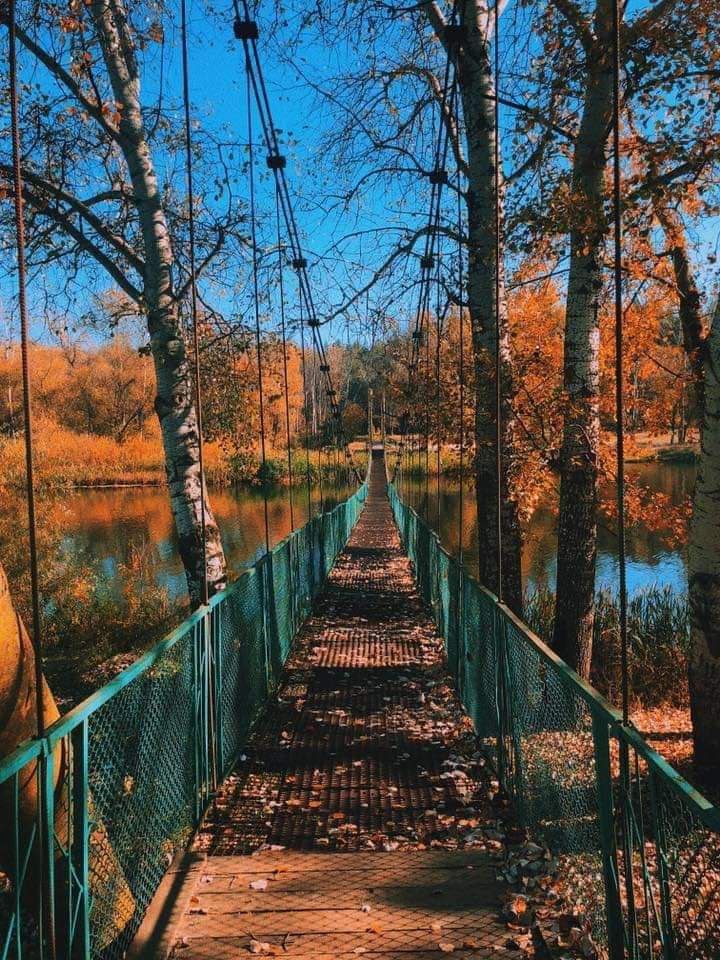База відпочинку "Едем" (Велика Багачка), Полтавська обл. — риболовля, фото 4