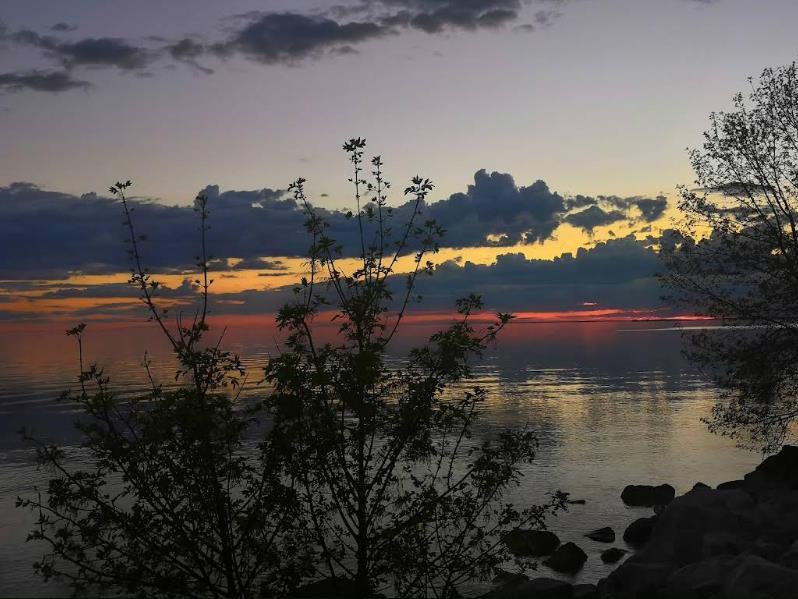 Пронозівка (Кременчуцьке водосховище)