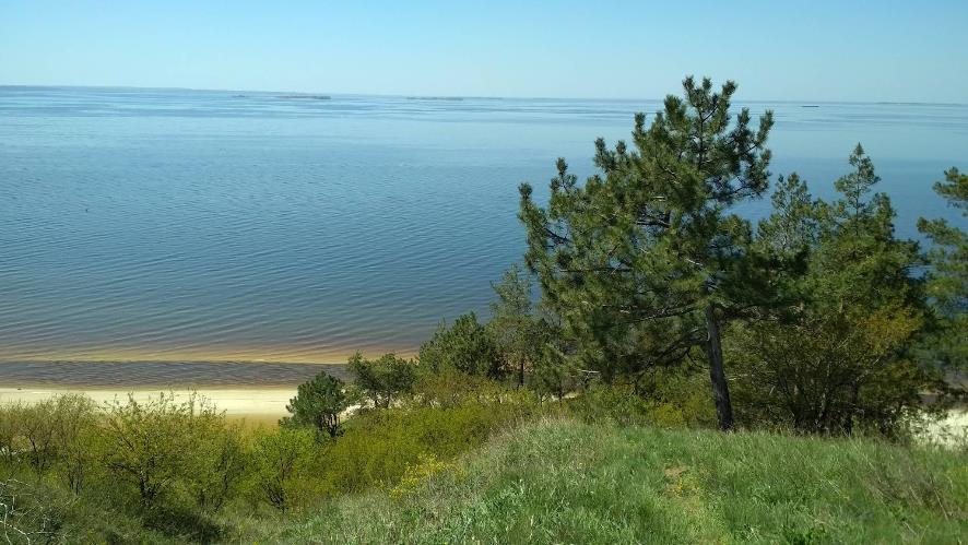Максимівка (Кременчуцьке водосховище)