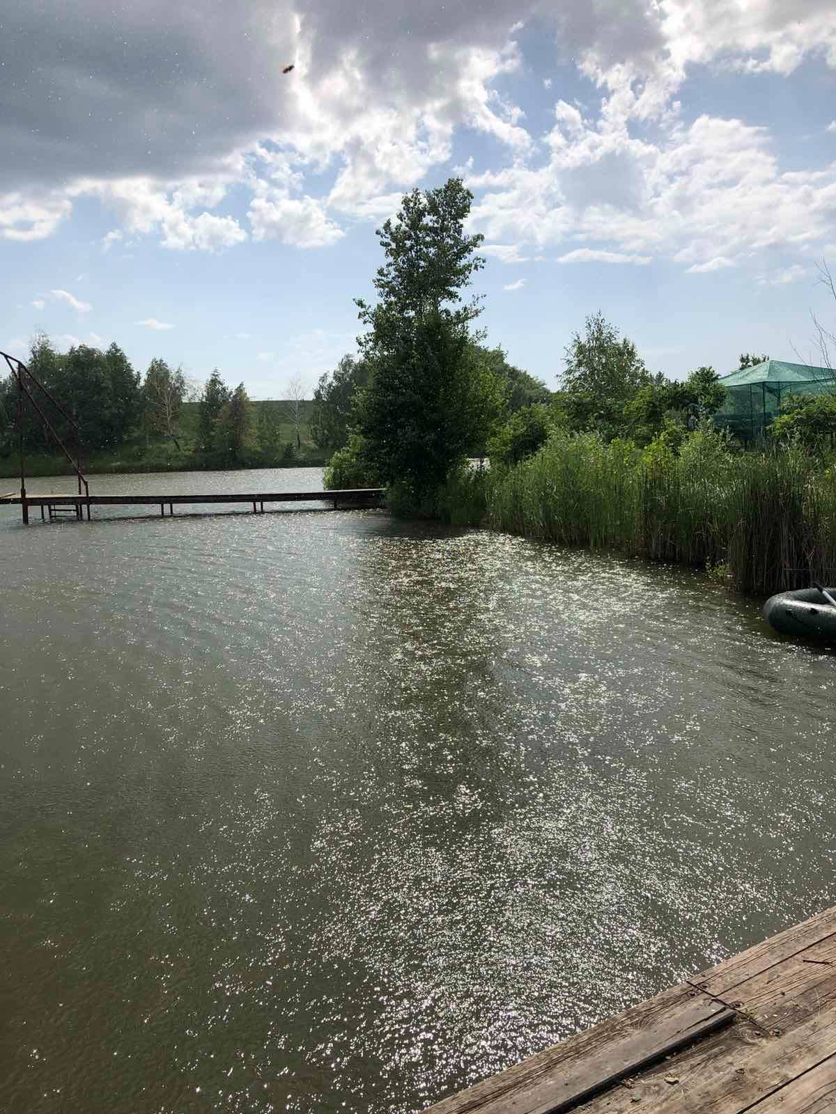 Ставок Рибальський клуб "Вікінг", Полтавська обл. — риболовля, фото 4