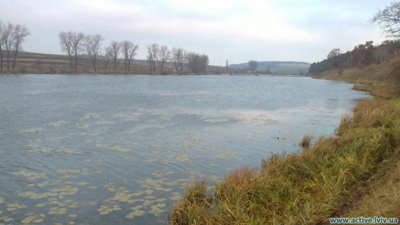 Ремезівці