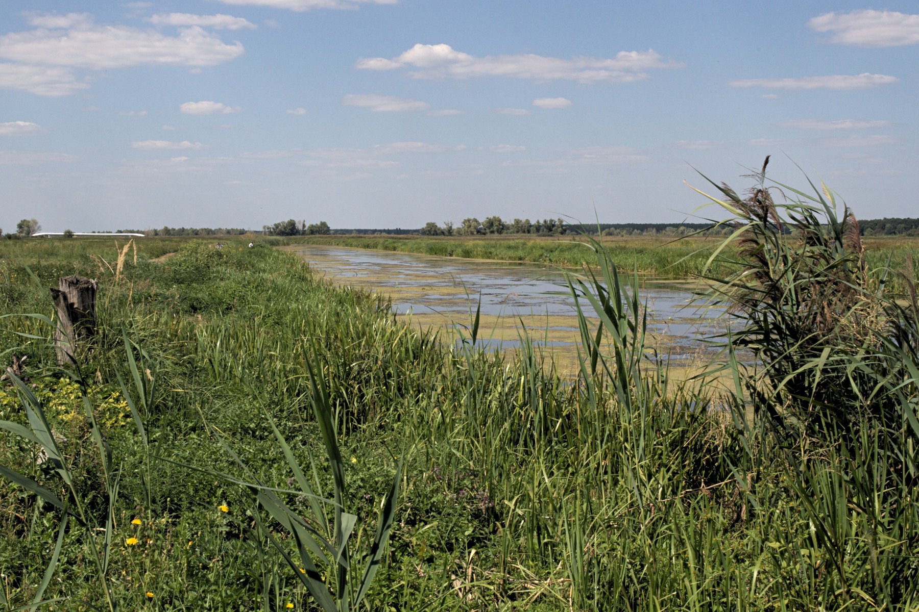 Ріка Борщів (р. Трубеж), Київська обл. — риболовля, фото 2