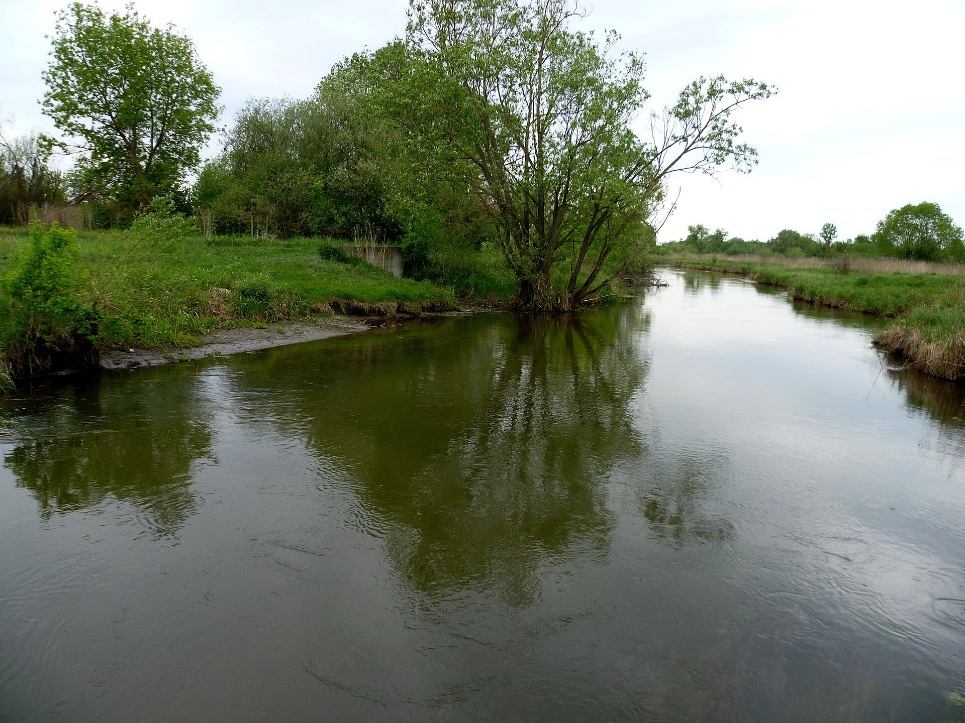 Пляшева (річка Стир), Рівненська обл. — риболовля, фото 5