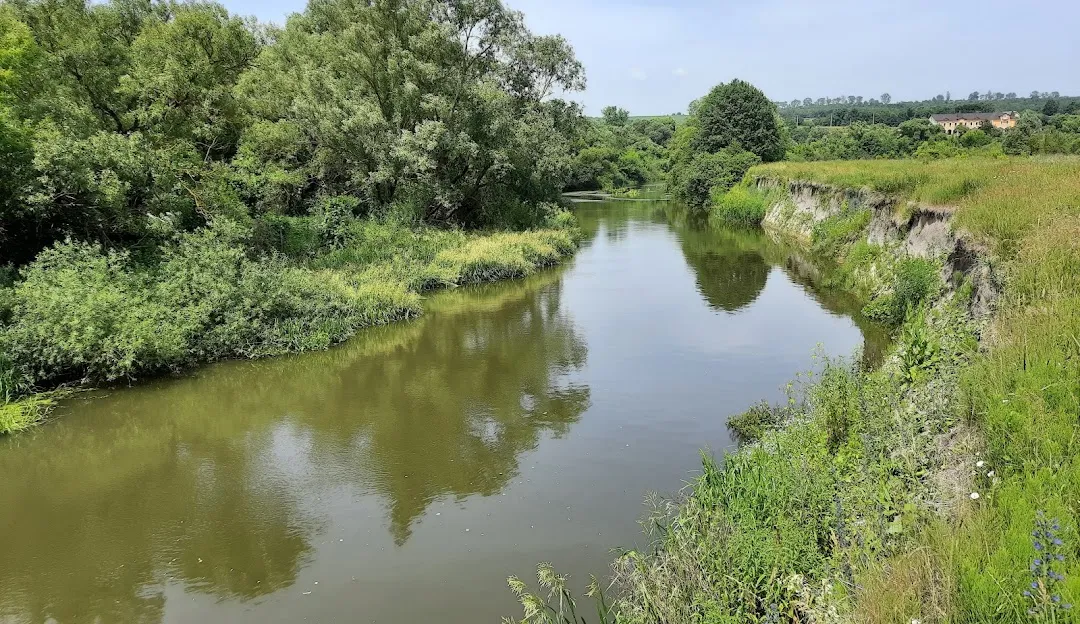 Річка Серет, Тернопільська обл. — риболовля, фото 3