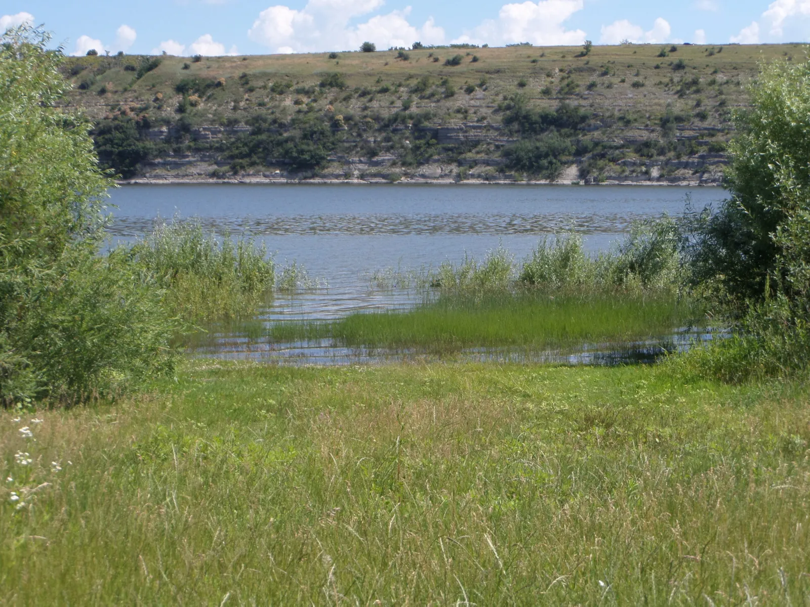 Сокіл (річка Дністер), Хмельницька обл. — риболовля, фото 3
