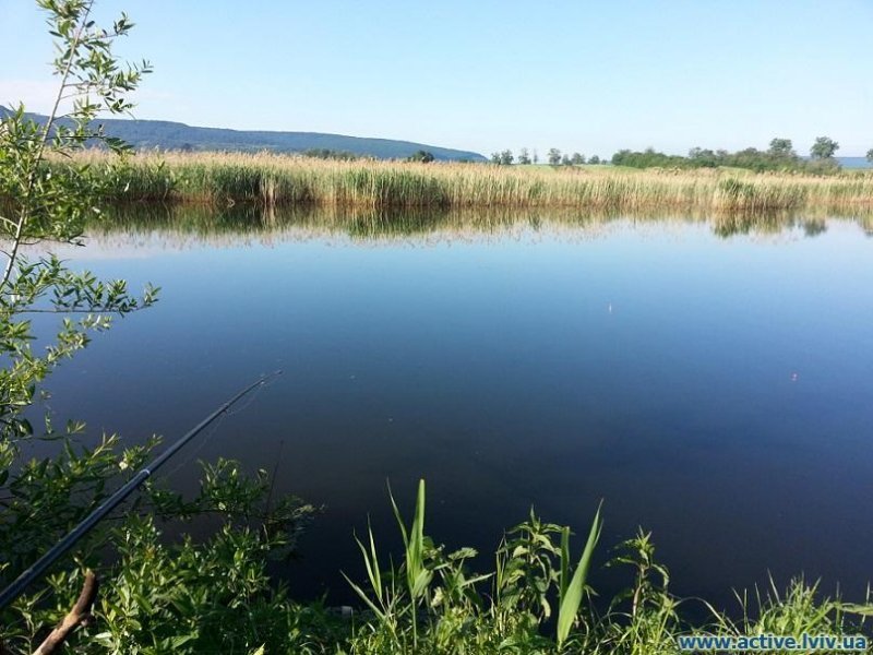 Озеро Романів (Тарасівка), Львівська обл. — риболовля, фото 3
