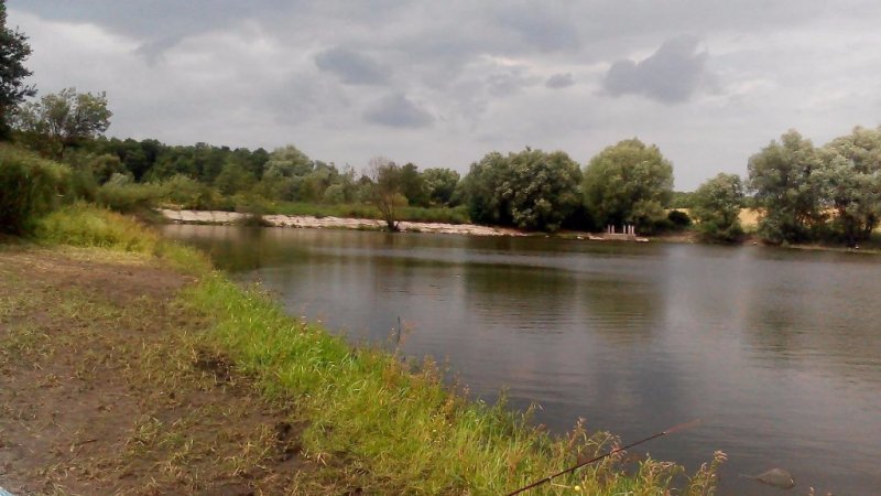 Ружична, правий став