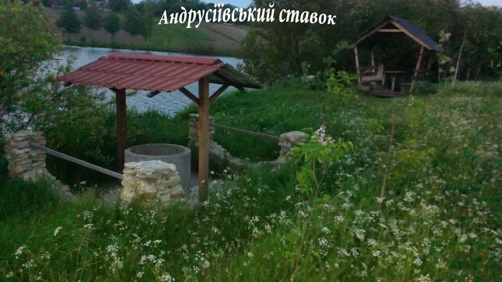 Андрусіїв