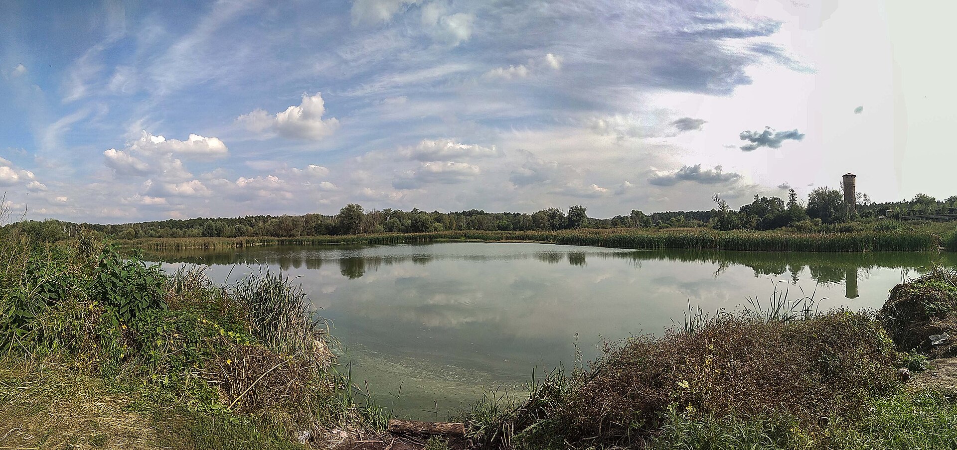 Рибне