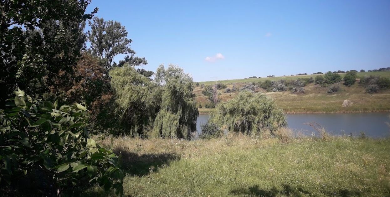 Садиба «Саблінська», Кіровоградська обл. — риболовля, фото 3