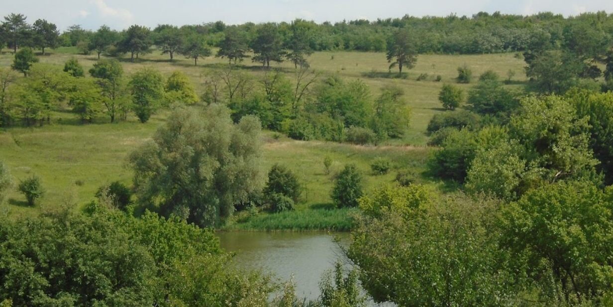Садиба «Саблінська», Кіровоградська обл. — риболовля, фото 2