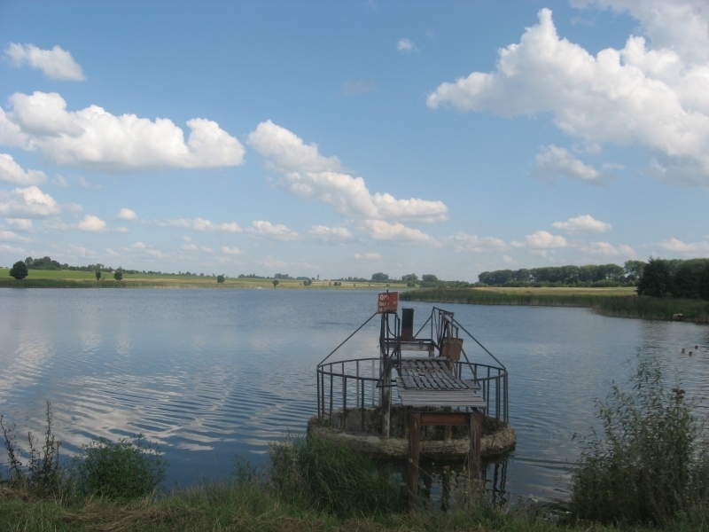 Самостріли