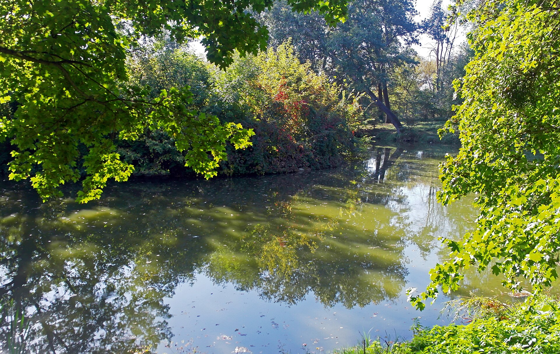 Водосховище Сажалка (Кагарлик), Київська обл. — риболовля, фото 2