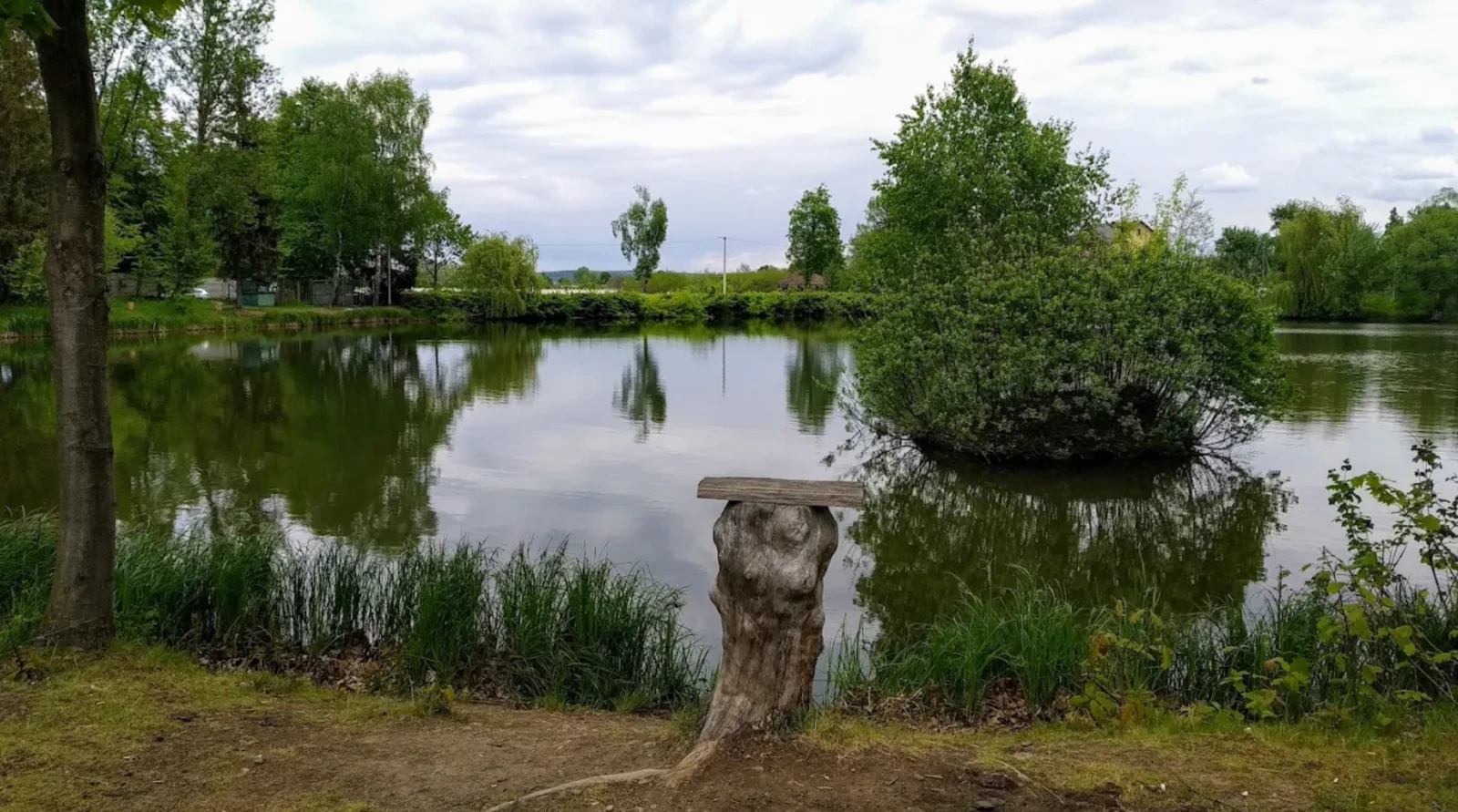 Ставки УТМР (Хом'яківка), Івано-Франківська обл. — риболовля, фото 3