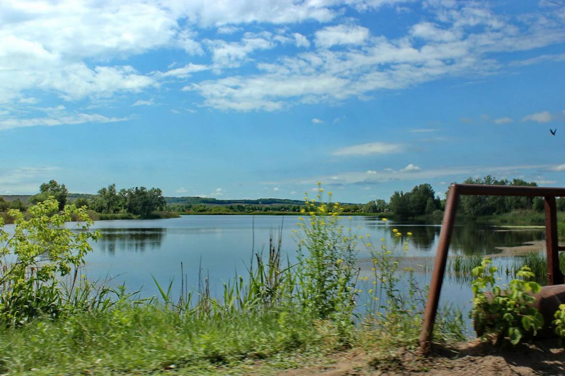 Бірки