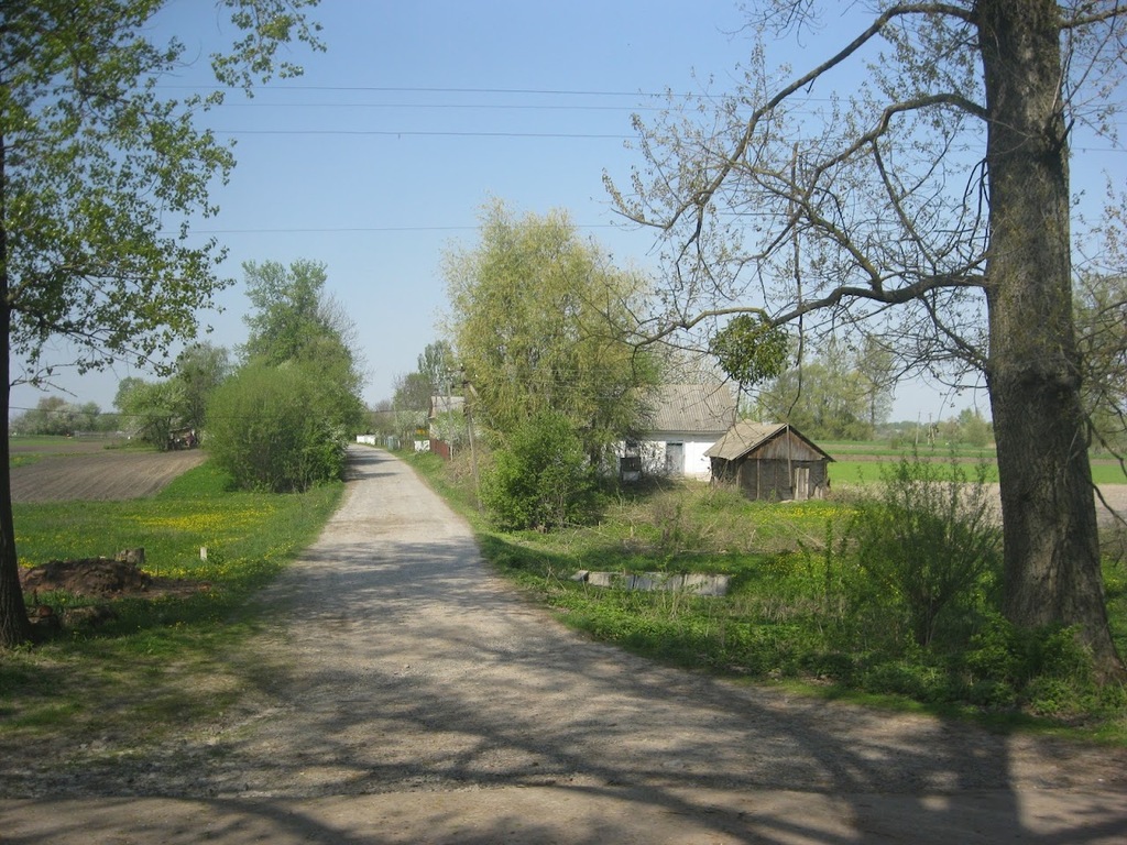 Ставок Бриковський, Рівненська обл. — риболовля, фото 2