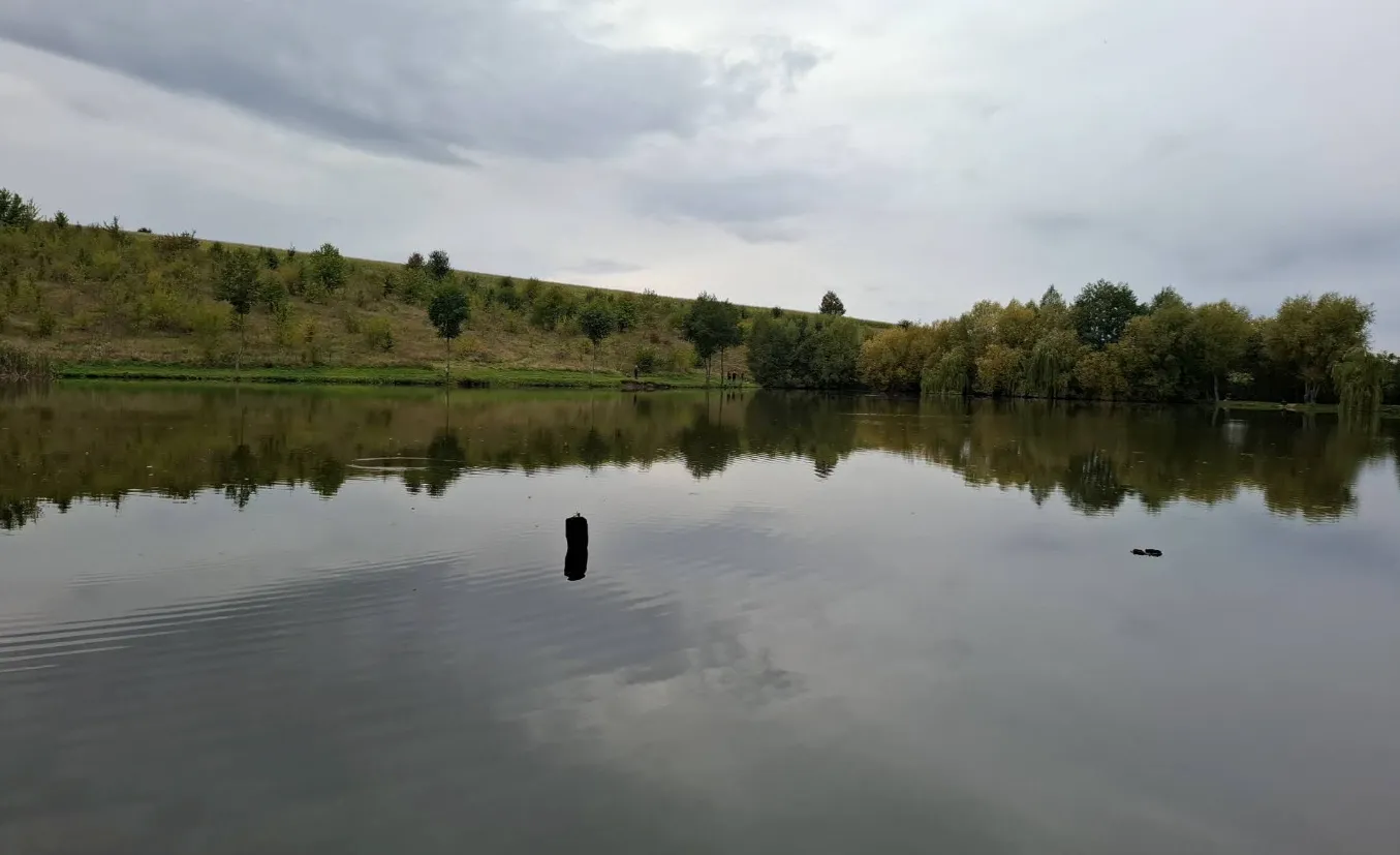 Ставок Івашківці (Barracuda), Хмельницька обл. — риболовля, фото 6