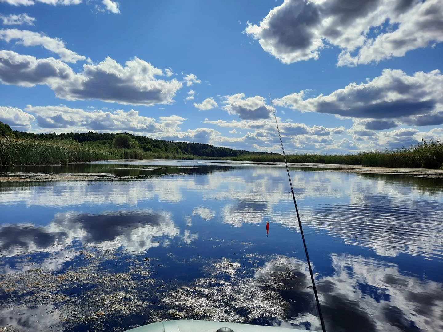Ставок Островерхівка, Полтавська обл. — риболовля, фото 3