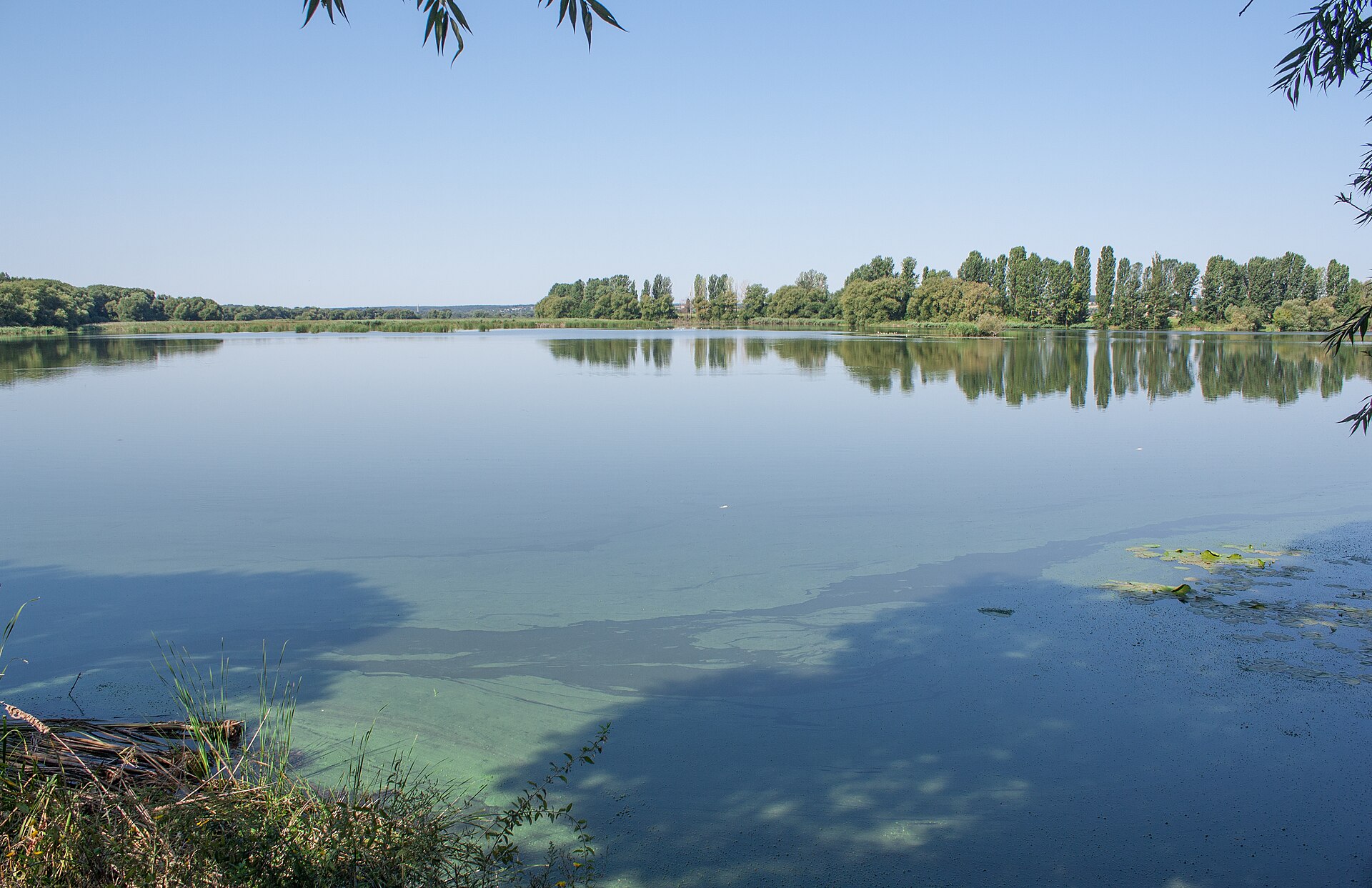 Скибинці