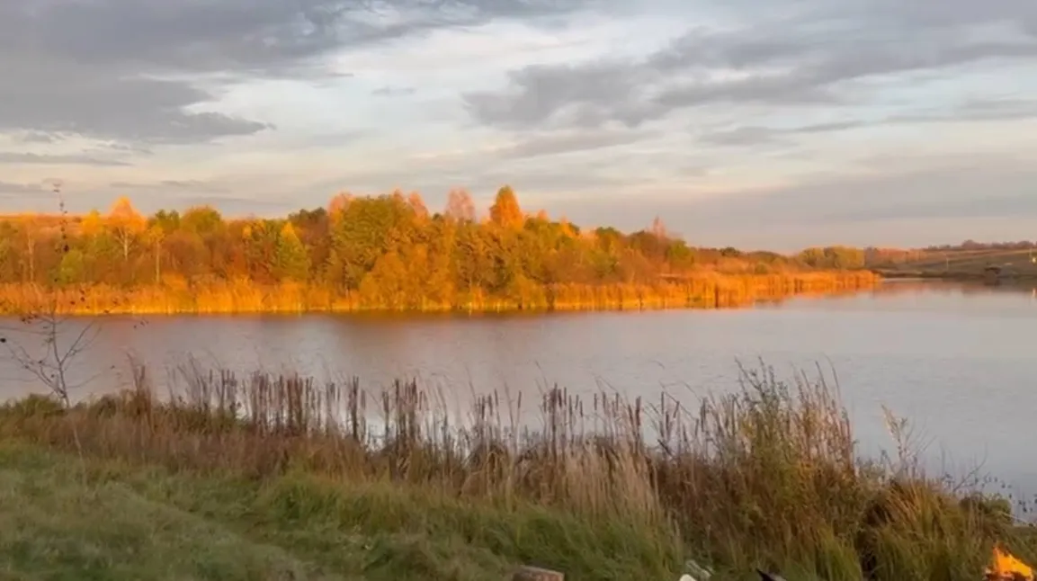 Ставок Синів ("Впіймай мрію"), Рівненська обл. — риболовля, фото 10