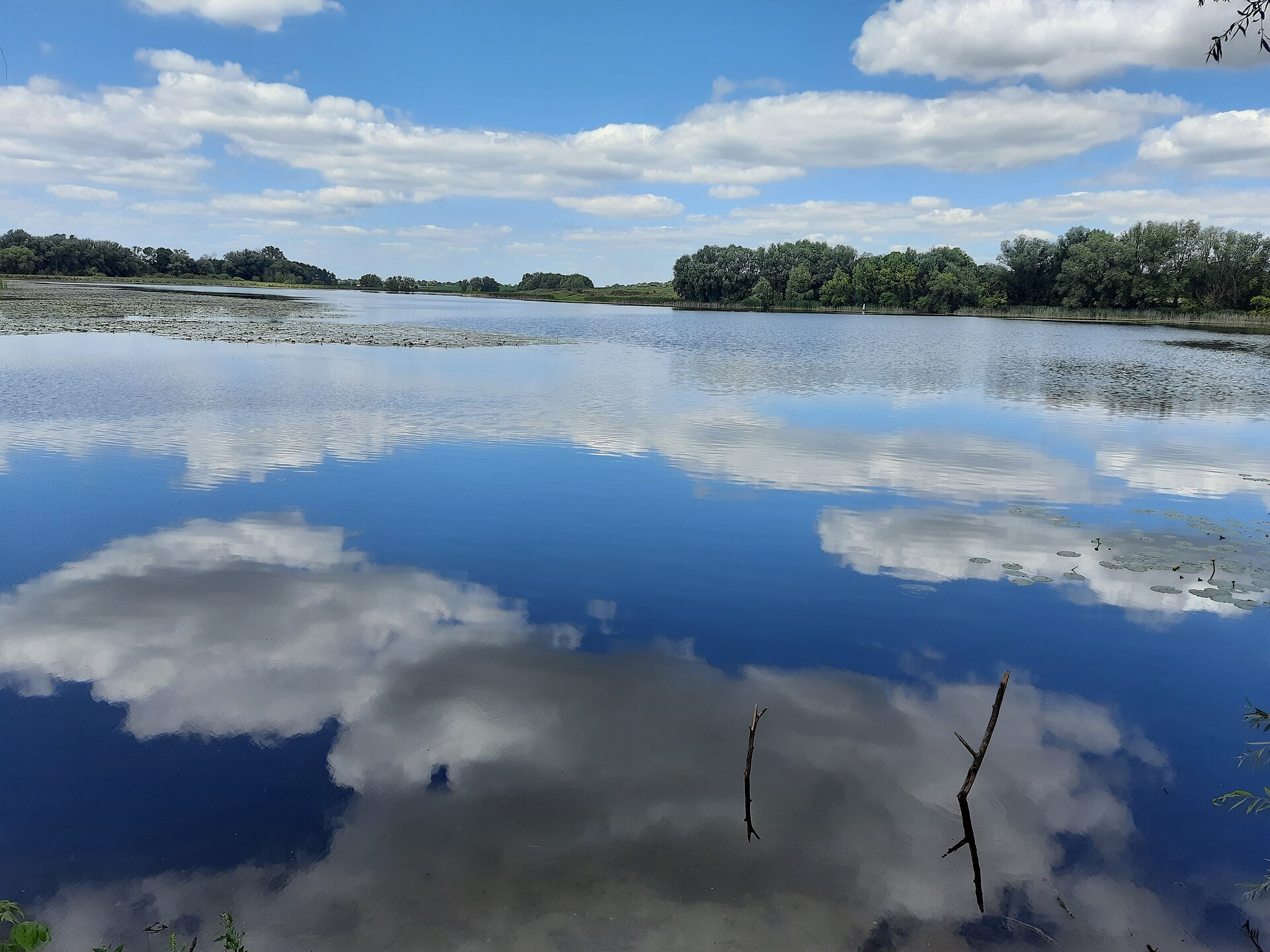 Ставок Захарівці, Хмельницька обл. — риболовля, фото 2