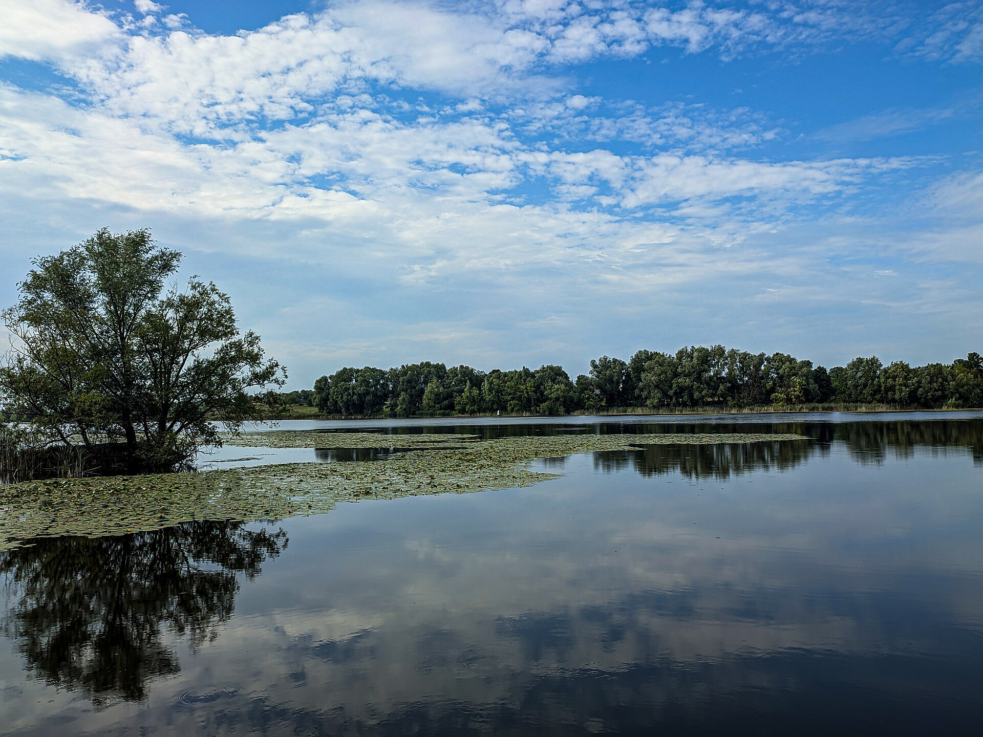 Захарівці