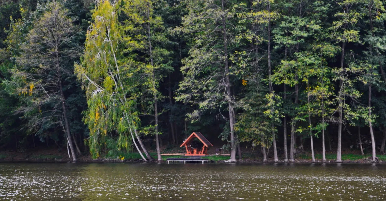 Ставок Жаботин (Fish Forest), Черкаська обл. — риболовля, фото 7