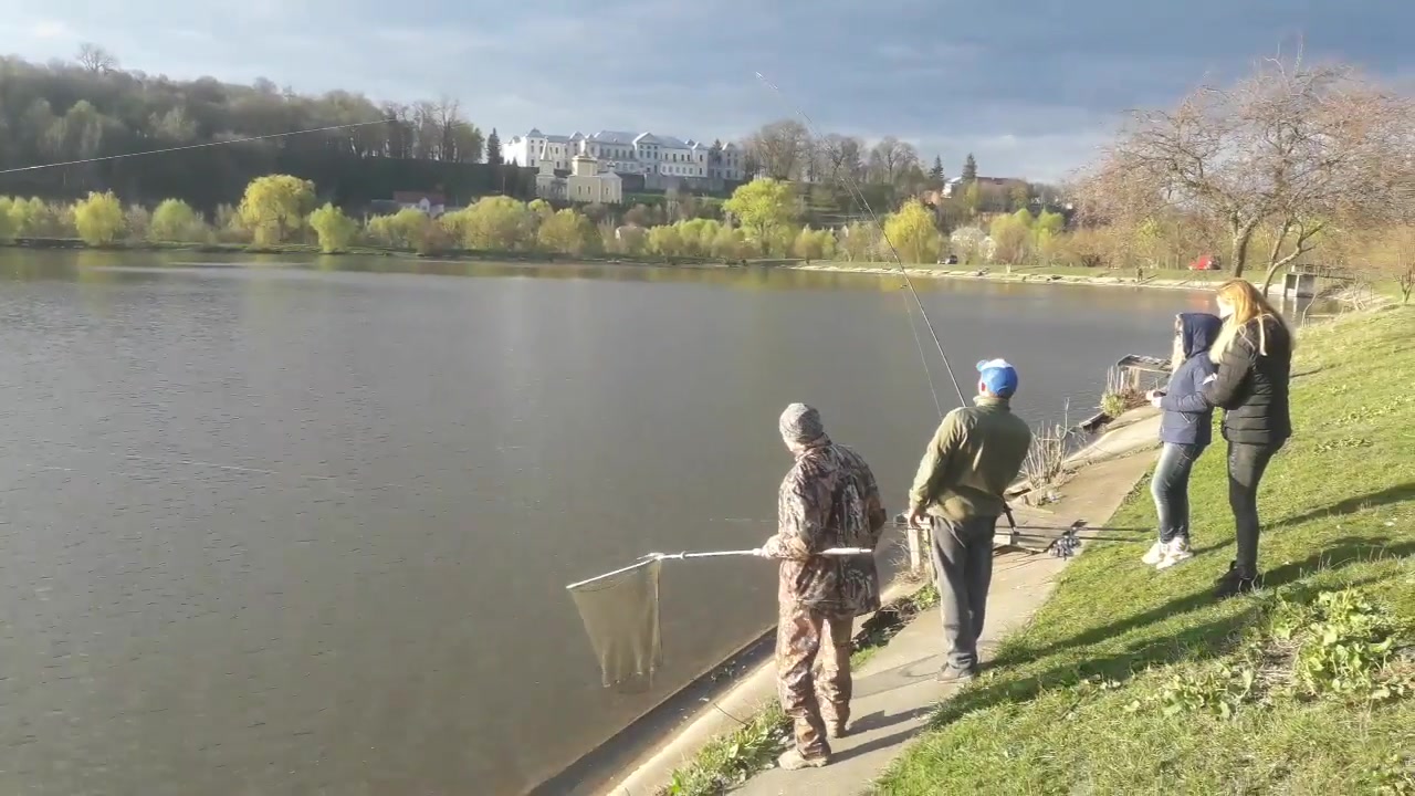 Ставок Вишнівець, Тернопільська обл. — риболовля, фото 3