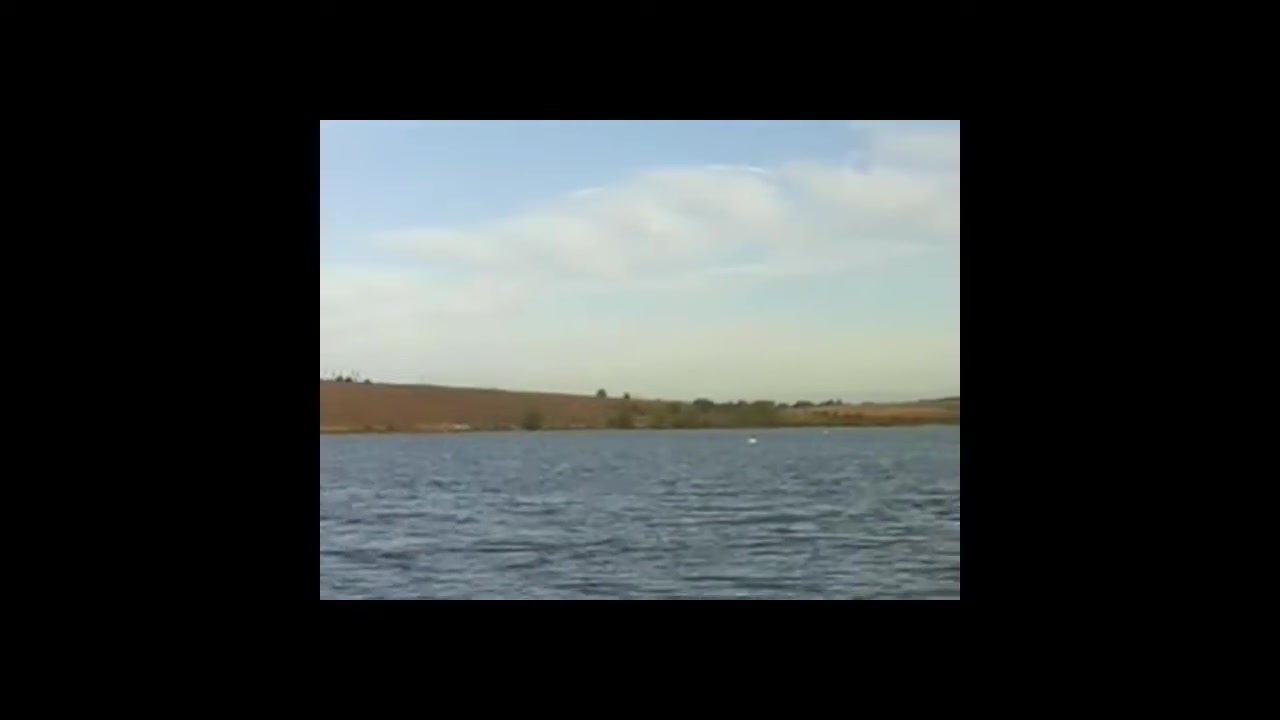 Ставок Глібів, Тернопільська обл. — риболовля, фото 2