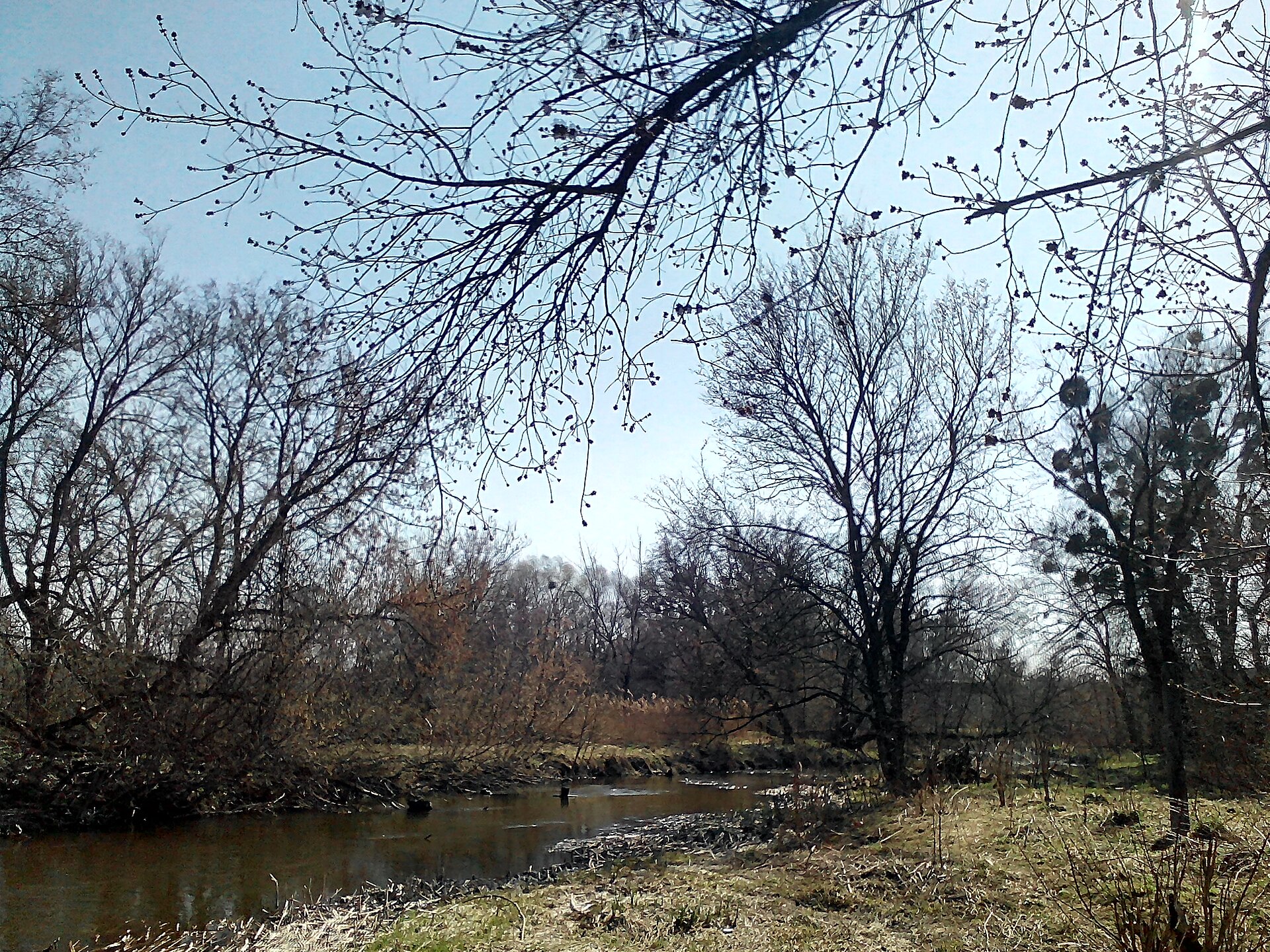 Ріка Уди (Харківщина), Харківська обл. — риболовля, фото 2