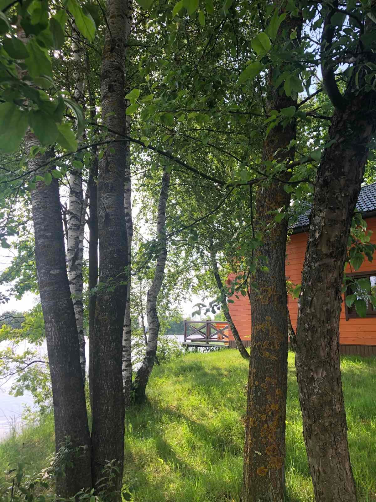 Ставок с. Вахнівці (перед Мигово), Чернівецька обл. — риболовля, фото 14