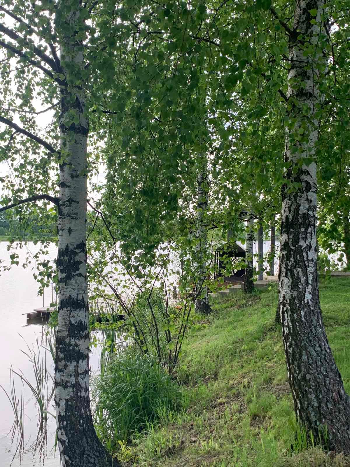 Ставок с. Вахнівці (перед Мигово), Чернівецька обл. — риболовля, фото 17