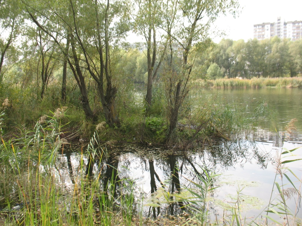 Верхнє Вигурівське