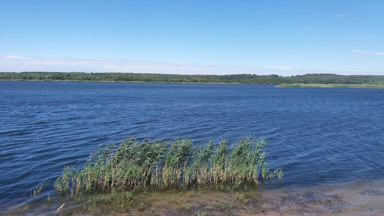 Віжомля (Рулево)
