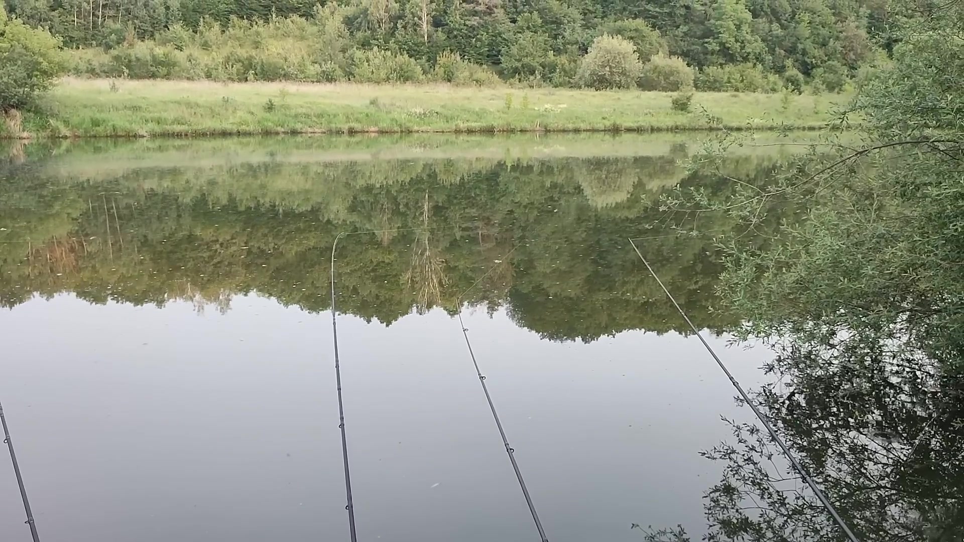 Ставок Бохоники (Південний буг), Вінницька обл. — риболовля, фото 2
