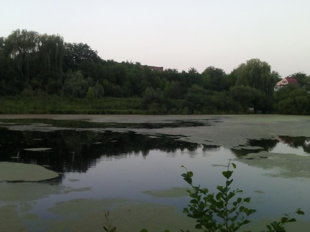 Вінниця (Озеро карасьове)