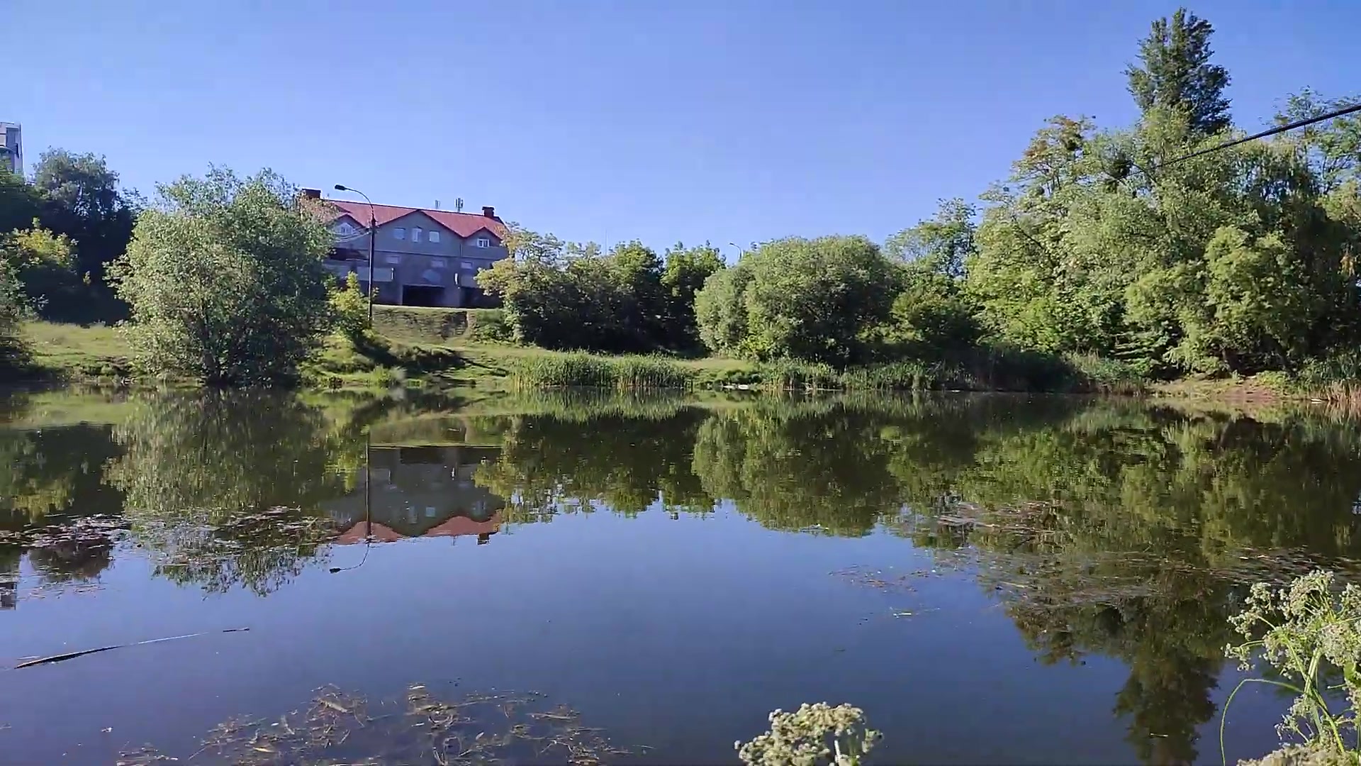 Ставок Вінниця (Газконтора), Вінницька обл. — риболовля, фото 4