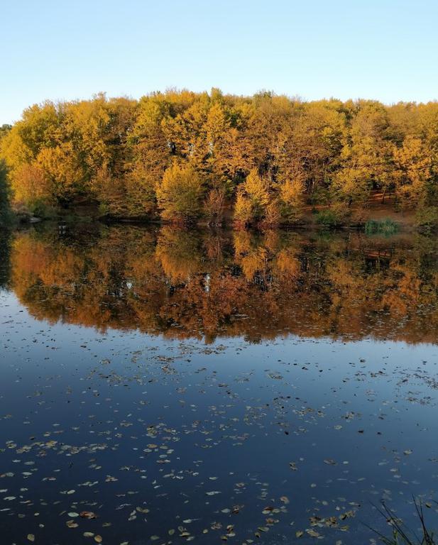 Жмеринка (Озеро Паркове)