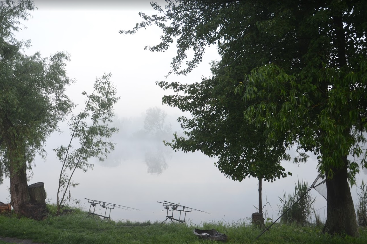Ставок Водойма "Чорний Хутір", Житомирська обл. — риболовля, фото 16