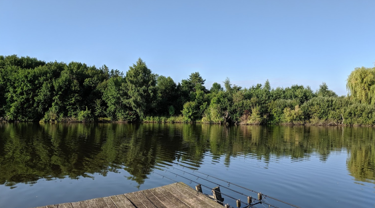 Ставок Водойма "Чорний Хутір", Житомирська обл. — риболовля, фото 14