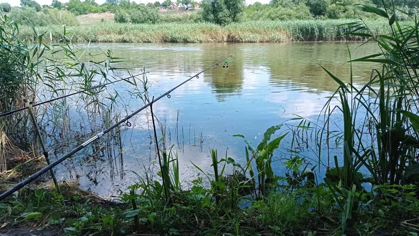 Ставок Водойма в Іванчанах, Тернопільська обл. — риболовля, фото 2
